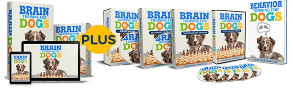 Brain Training For Dogs